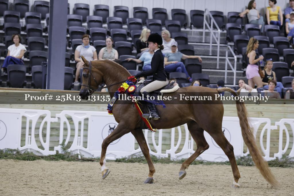 Proof 25R13_13135