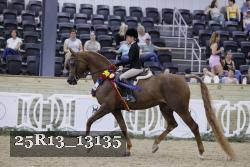 25R13_13135 proof