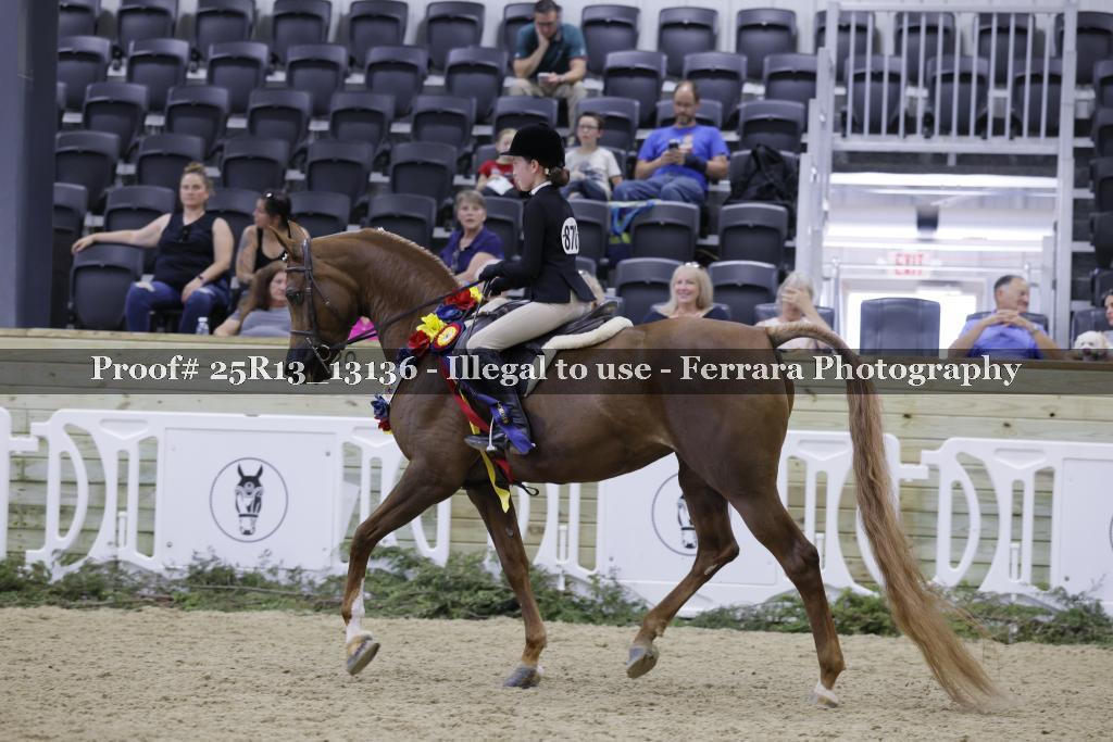 Proof 25R13_13136