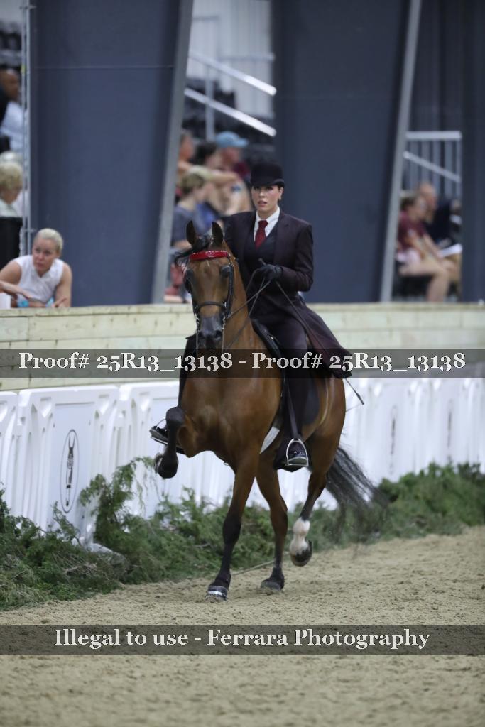 Proof 25R13_13138