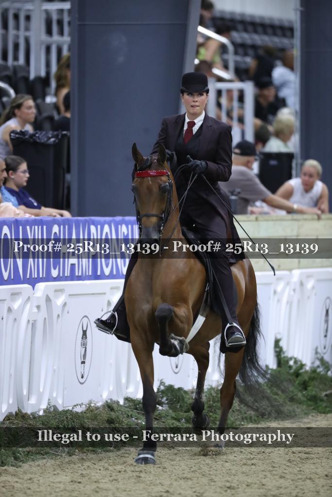 Proof 25R13_13139