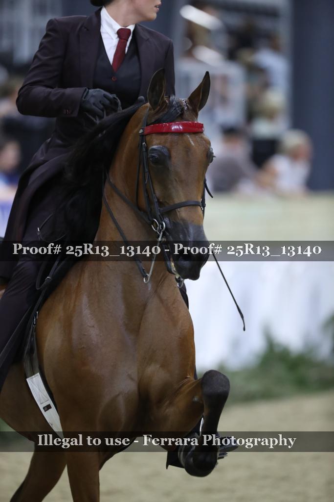 Proof 25R13_13140