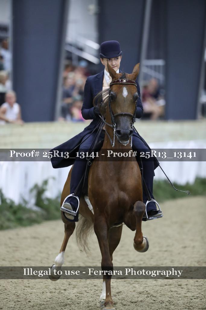 Proof 25R13_13141
