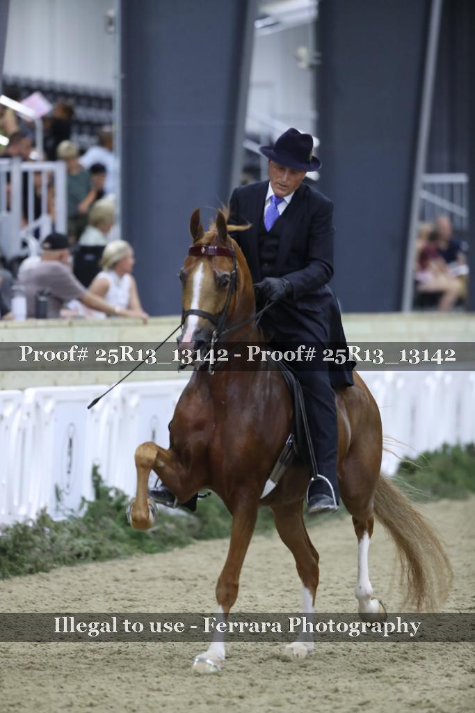 Proof 25R13_13142
