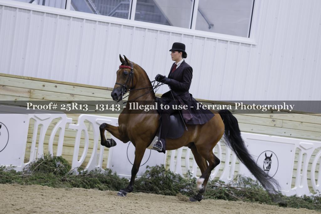 Proof 25R13_13143