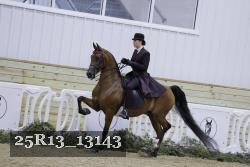 25R13_13143 proof