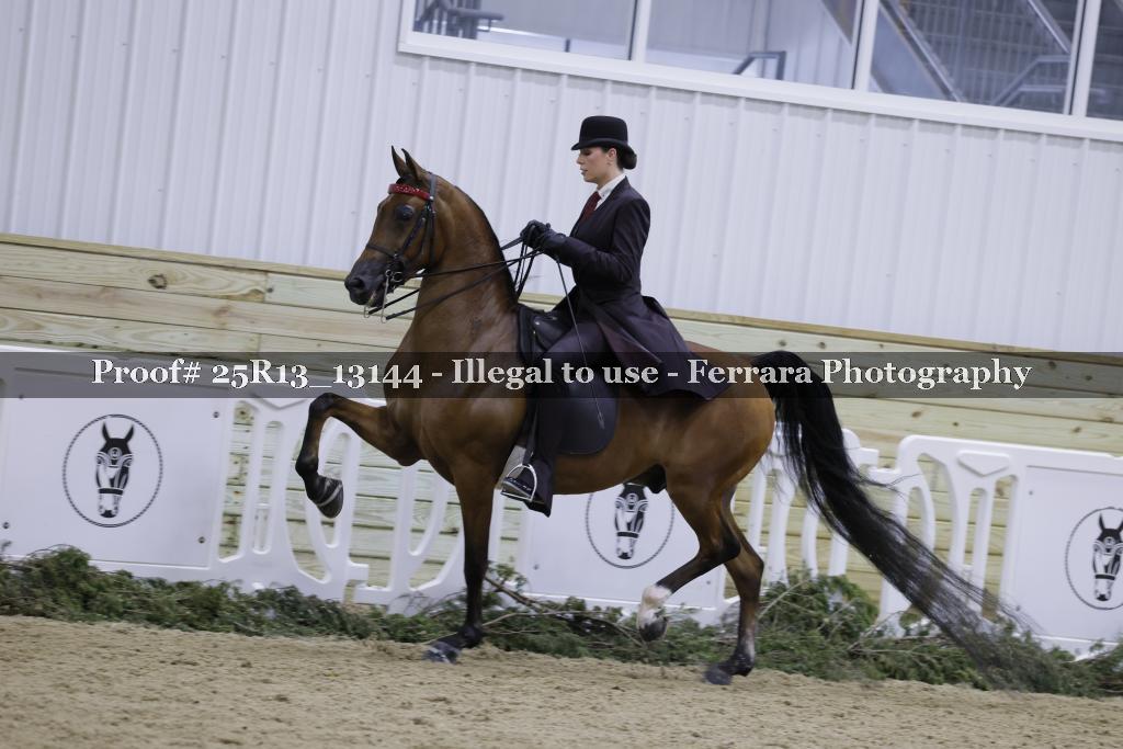 Proof 25R13_13144