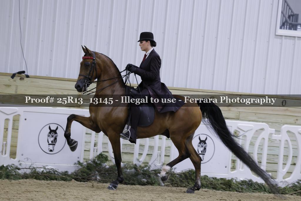 Proof 25R13_13145