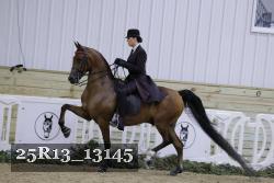25R13_13145 proof