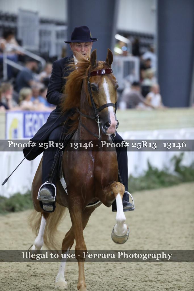 Proof 25R13_13146