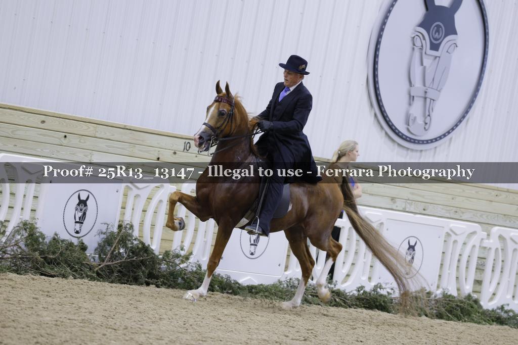 Proof 25R13_13147