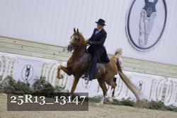 25R13_13147 proof
