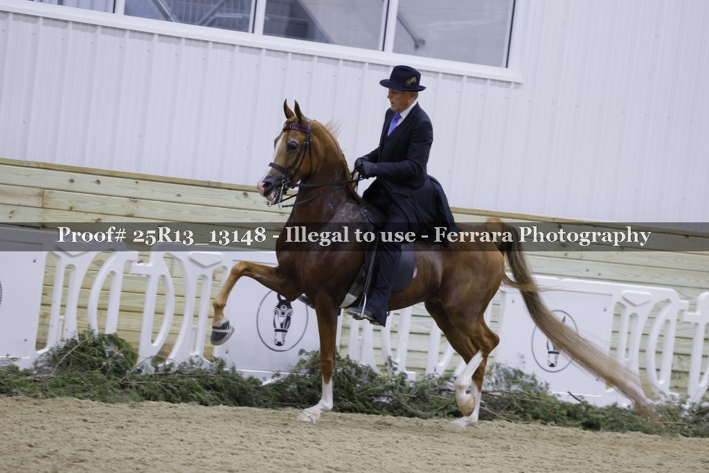 Proof 25R13_13148