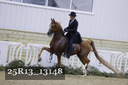 25R13_13148 proof