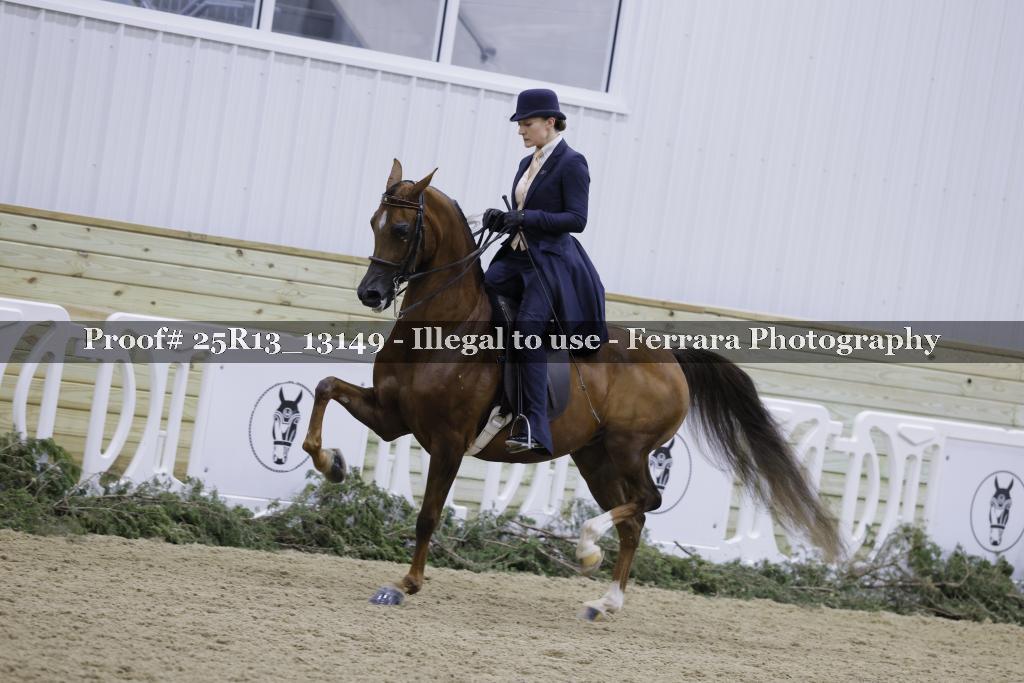 Proof 25R13_13149