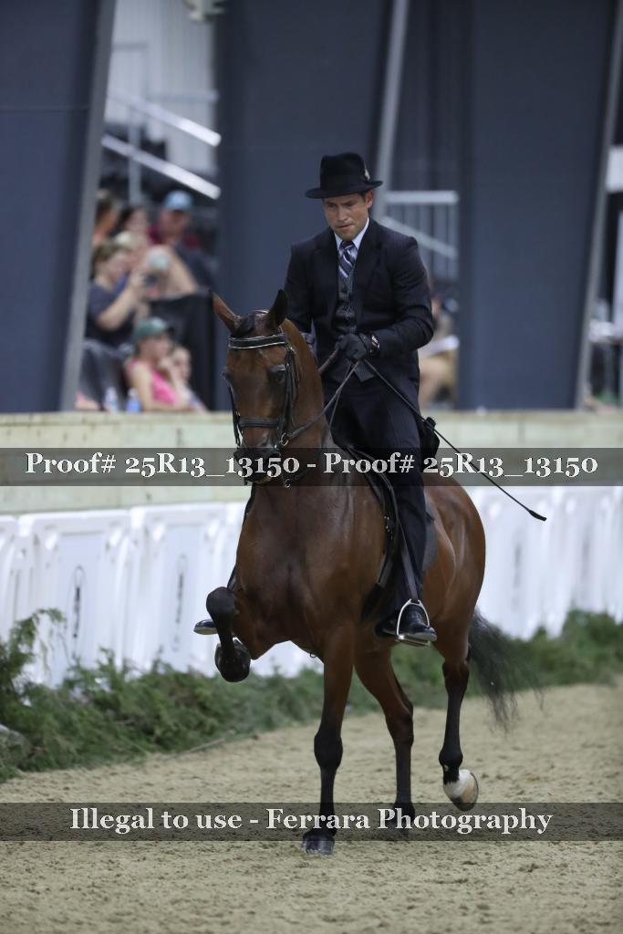 Proof 25R13_13150