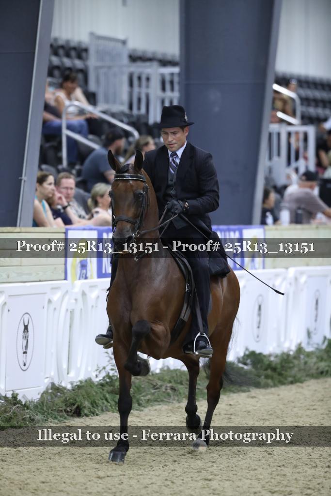 Proof 25R13_13151