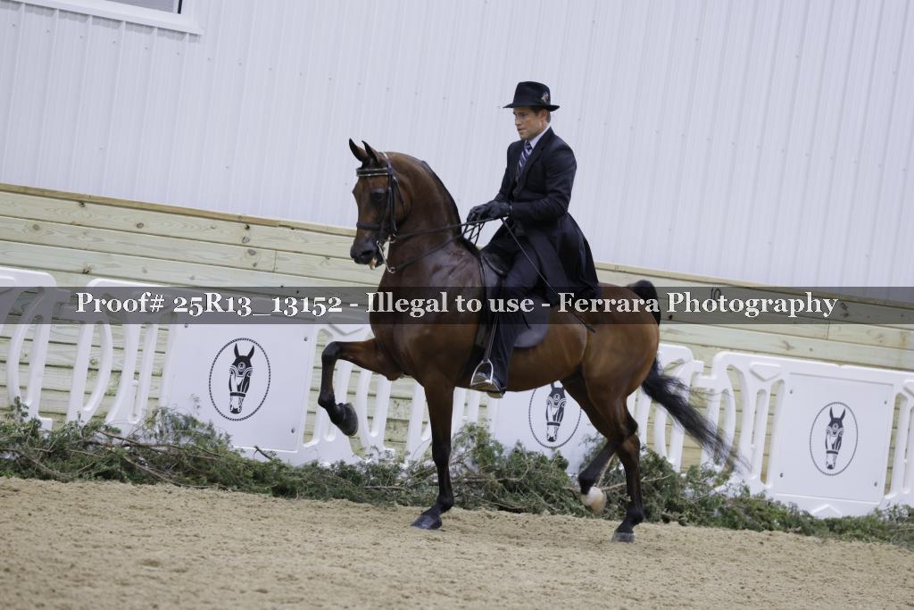 Proof 25R13_13152