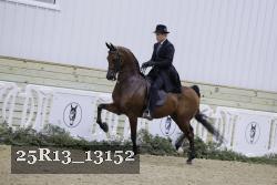 25R13_13152 proof