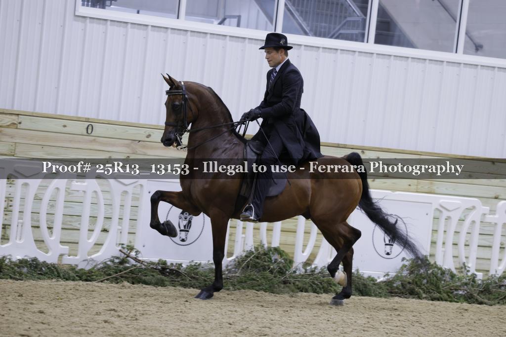 Proof 25R13_13153