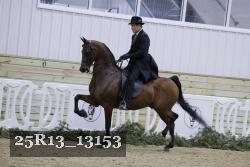 25R13_13153 proof