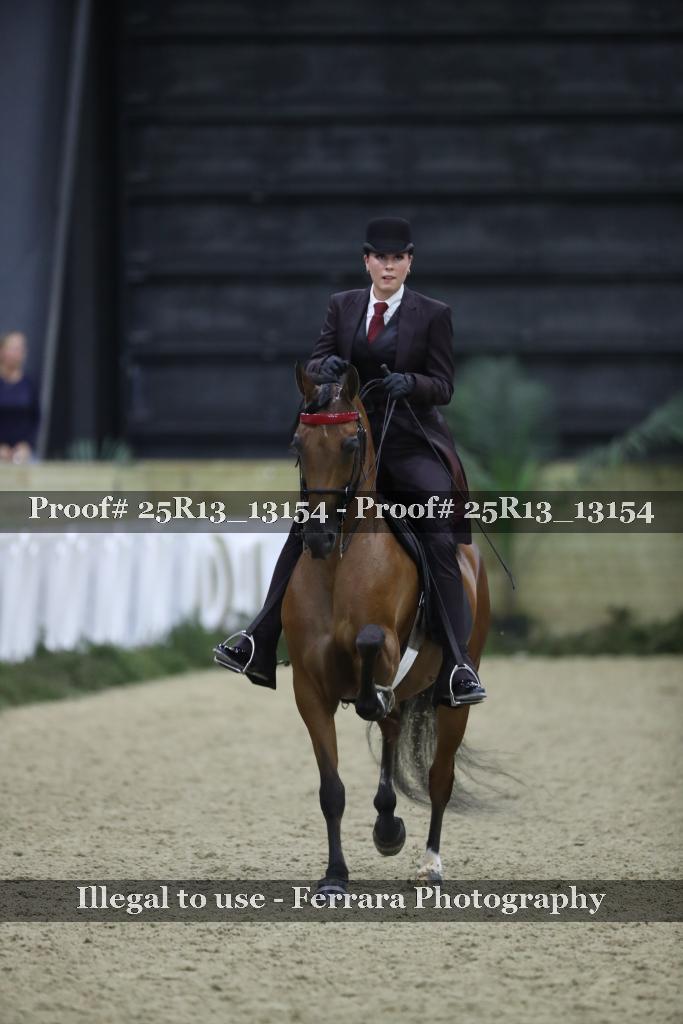 Proof 25R13_13154