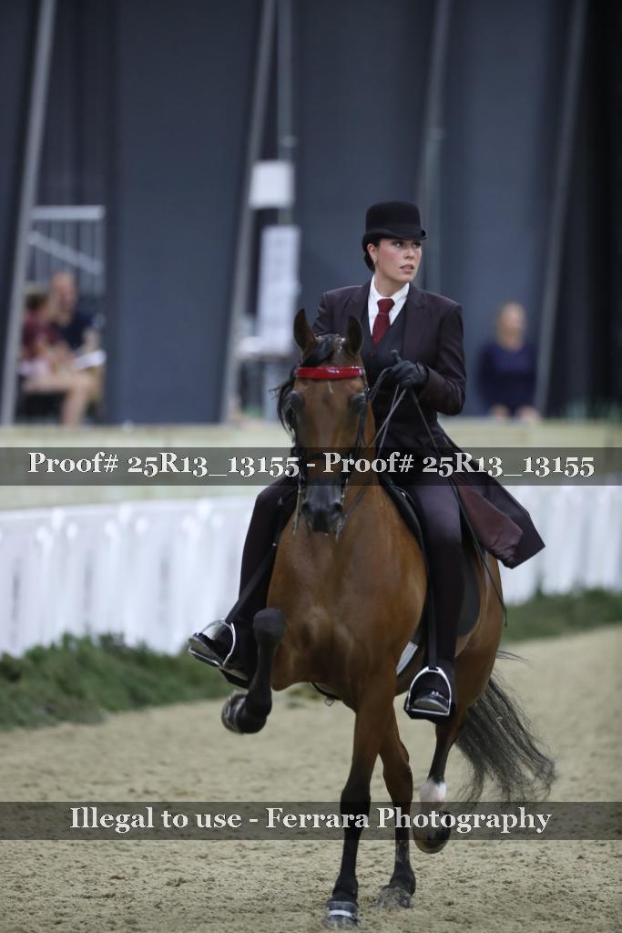 Proof 25R13_13155
