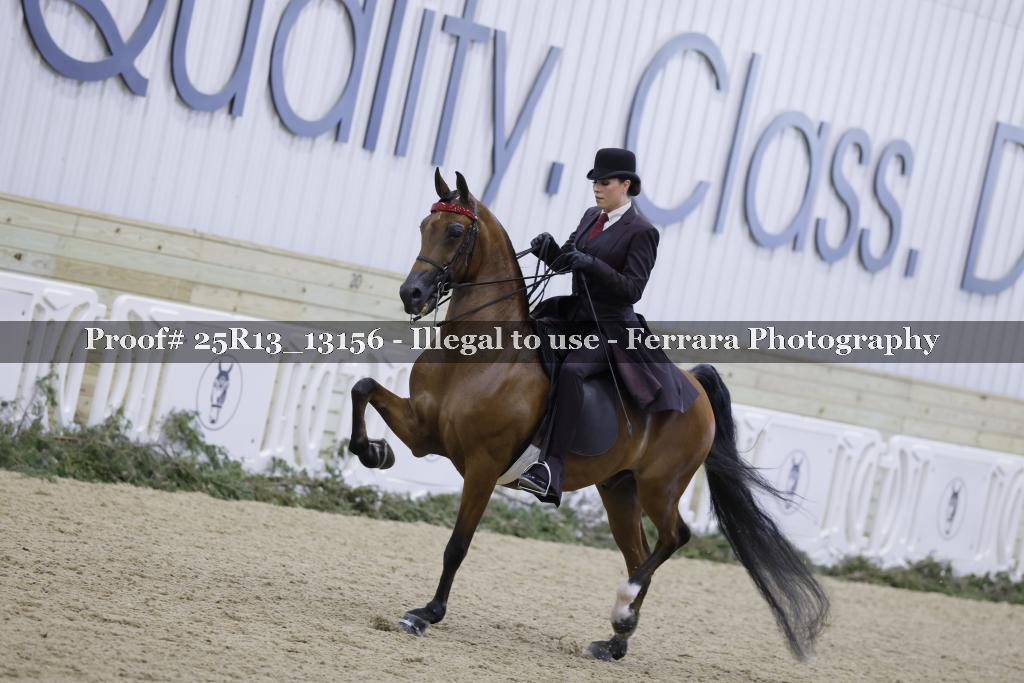 Proof 25R13_13156
