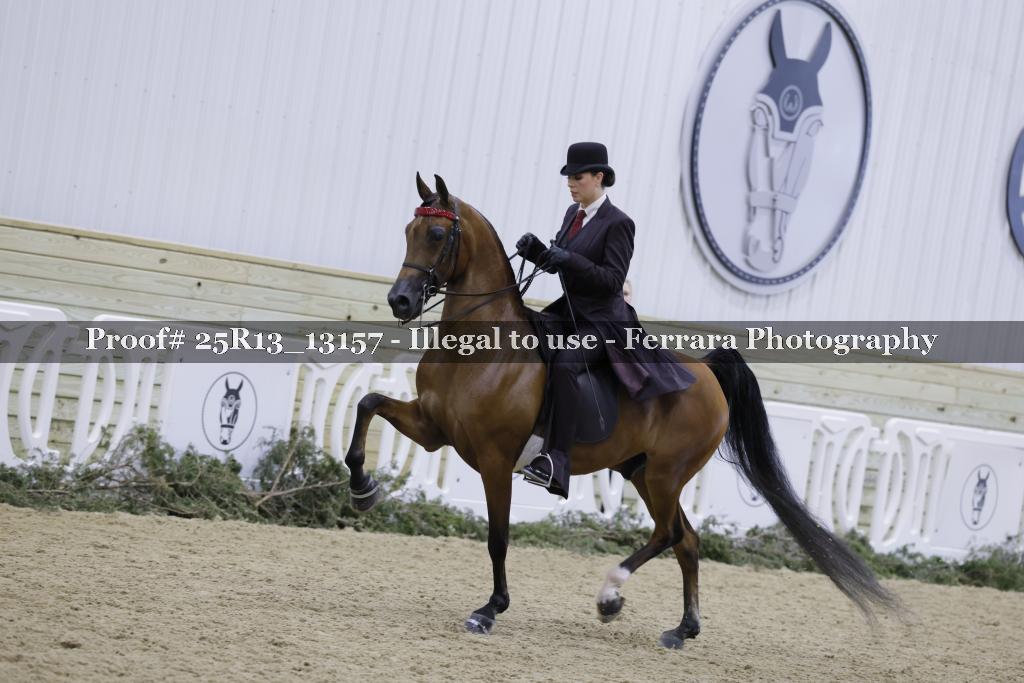 Proof 25R13_13157
