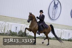 25R13_13157 proof