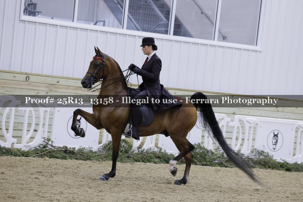 Proof 25R13_13158