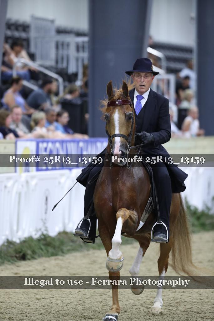 Proof 25R13_13159