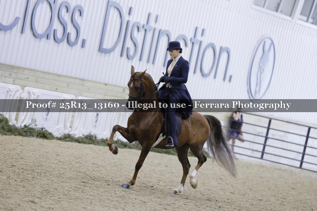 Proof 25R13_13160
