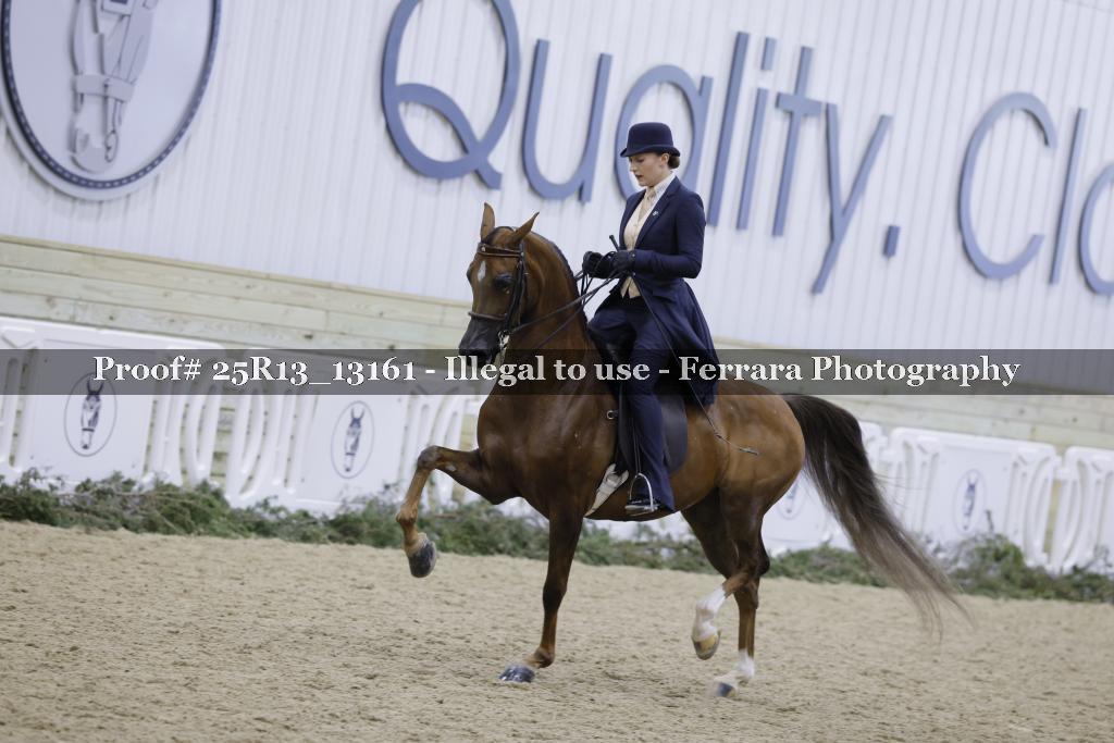 Proof 25R13_13161