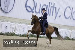25R13_13161 proof
