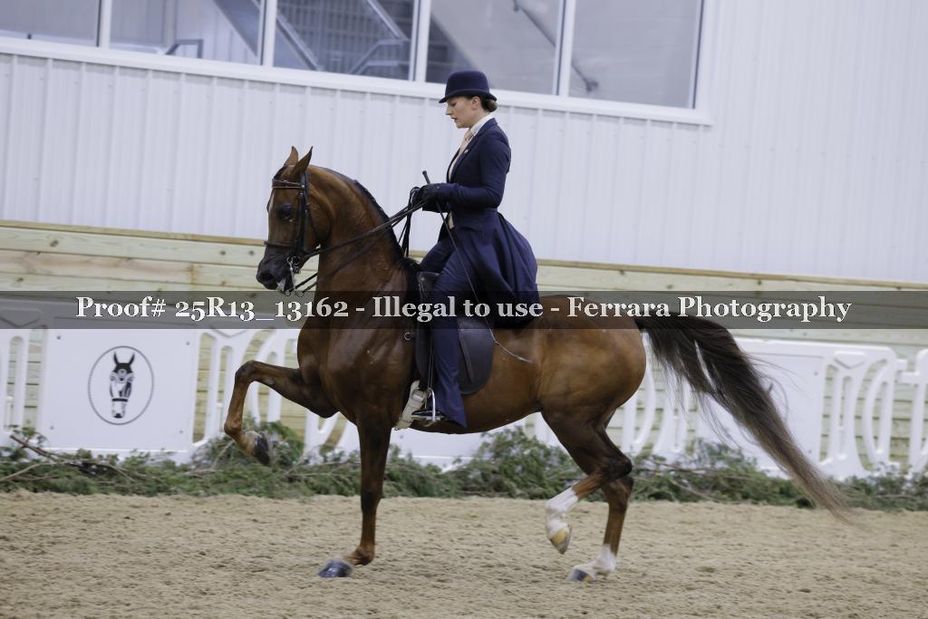 Proof 25R13_13162