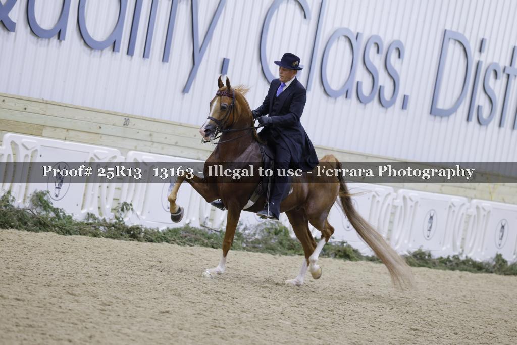 Proof 25R13_13163