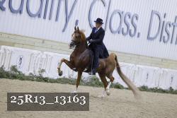25R13_13163 proof
