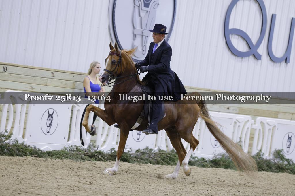 Proof 25R13_13164