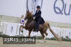 25R13_13164 proof