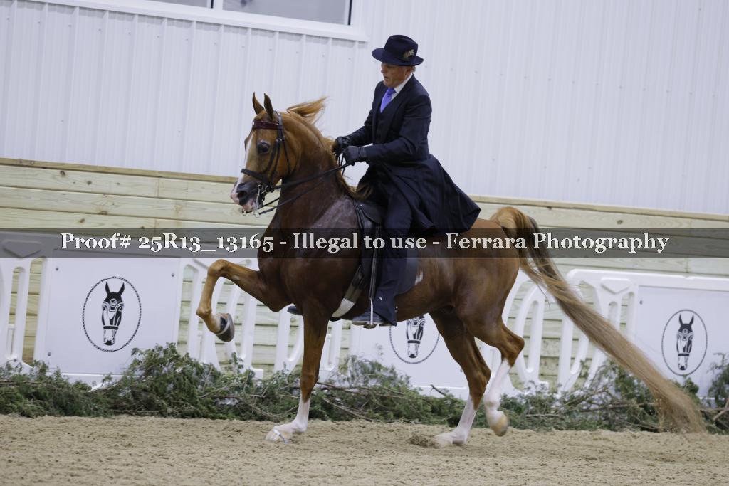 Proof 25R13_13165