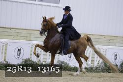 25R13_13165 proof