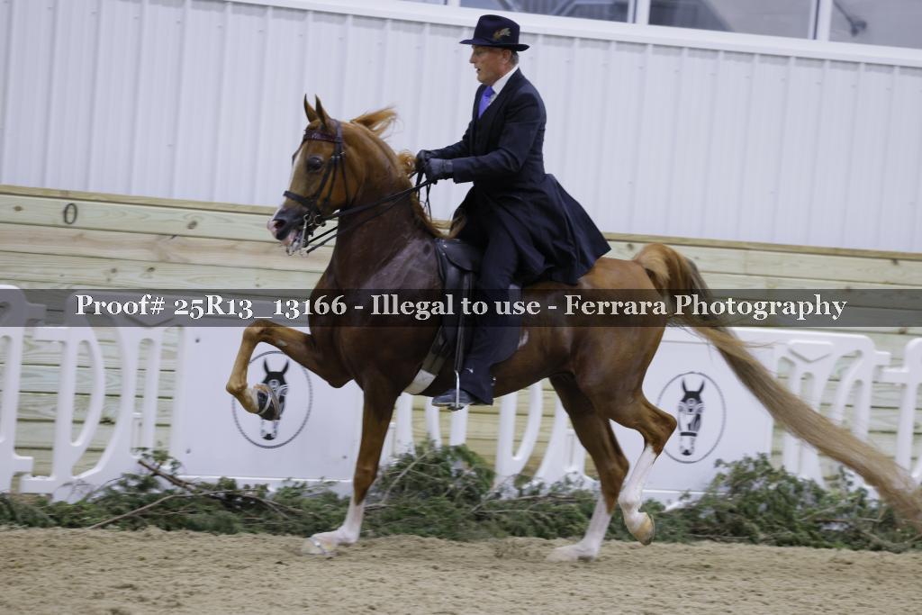 Proof 25R13_13166