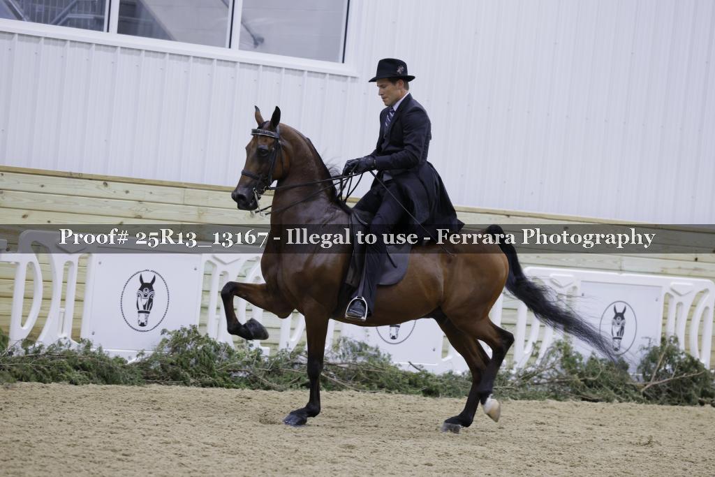 Proof 25R13_13167