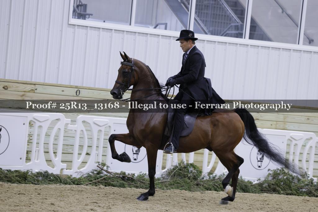 Proof 25R13_13168