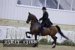 25R13_13168 proof