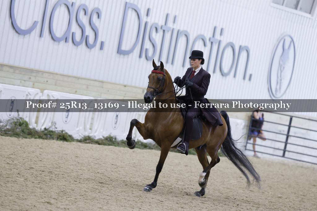 Proof 25R13_13169