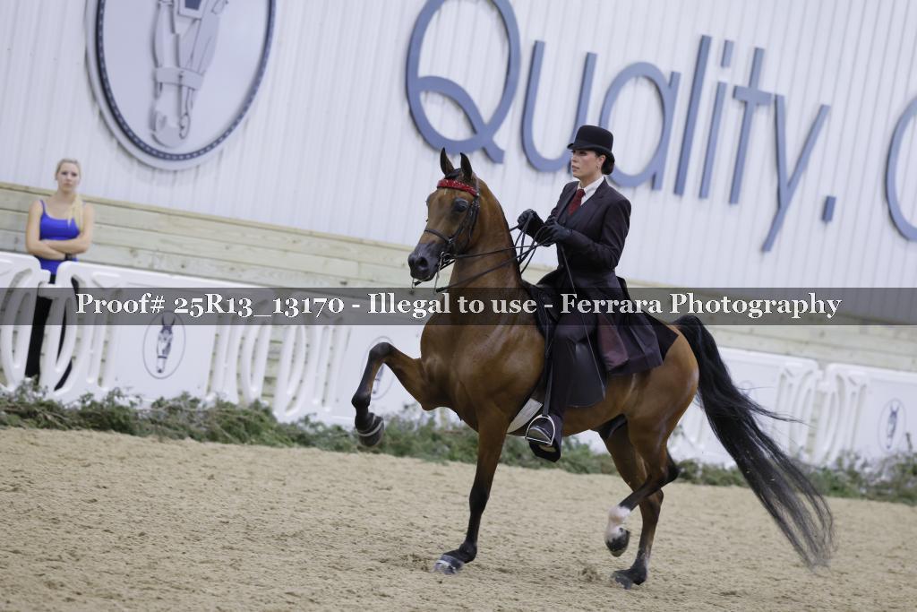 Proof 25R13_13170