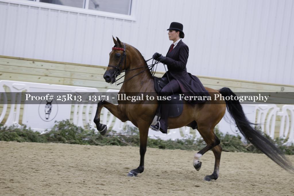 Proof 25R13_13171