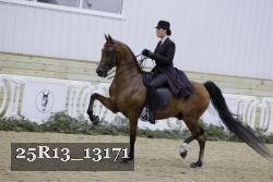 25R13_13171 proof